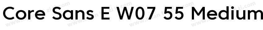 Core Sans E W07 55 Medium字体转换